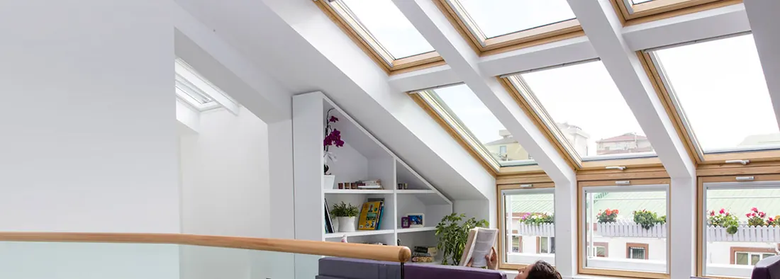 velux et fenetres de toit